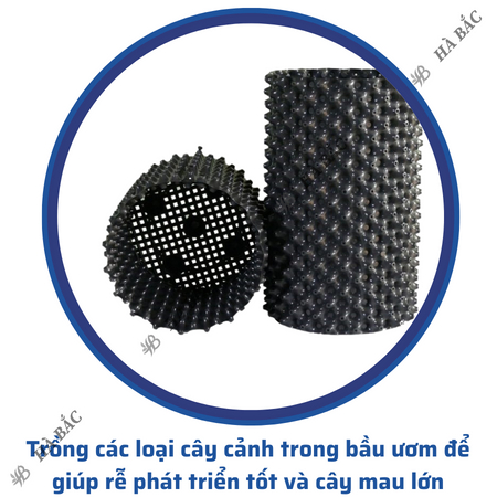 Bầu Ươm Cây Đủ Các Kích Thước  Dùng cho các loại cây, phát triển rễ cám -