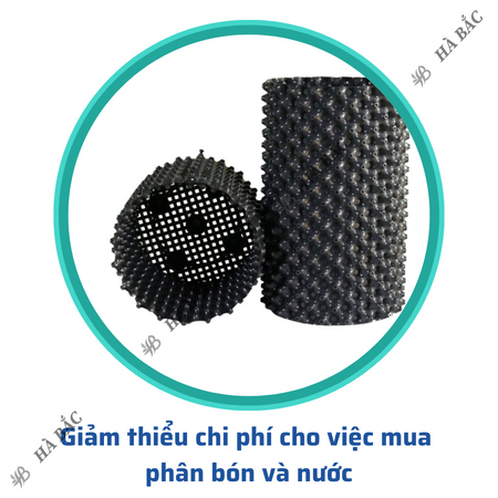Bầu Ươm Cây Đủ Các Kích Thước  Dùng cho các loại cây, phát triển rễ cám -