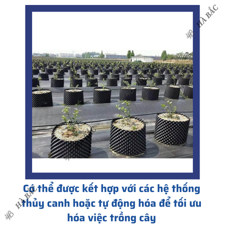 Bầu Ươm Cây Đủ Các Kích Thước  Dùng cho các loại cây, phát triển rễ cám -