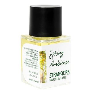 ⁂︎ 10ml┊ Nước Hoa Unisex Strangers Parfumerie Spring Ambience / EDP