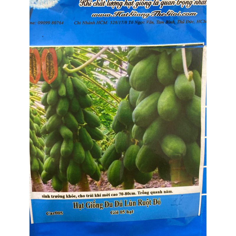 Hạt giống Đu Đủ Lùn Ruột Đỏ