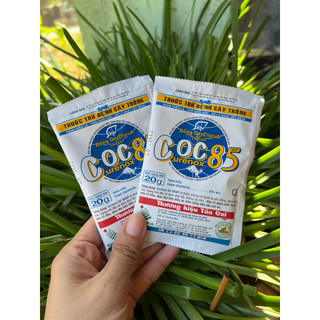 Coc 85 trừ nấm