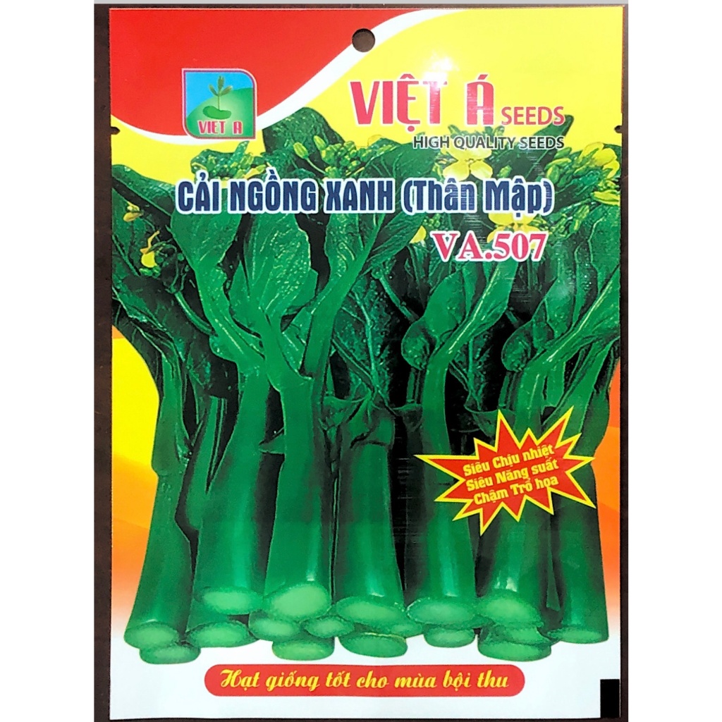 Hạt giống Cải Ngồng Xanh Thân Mập (VA.507)