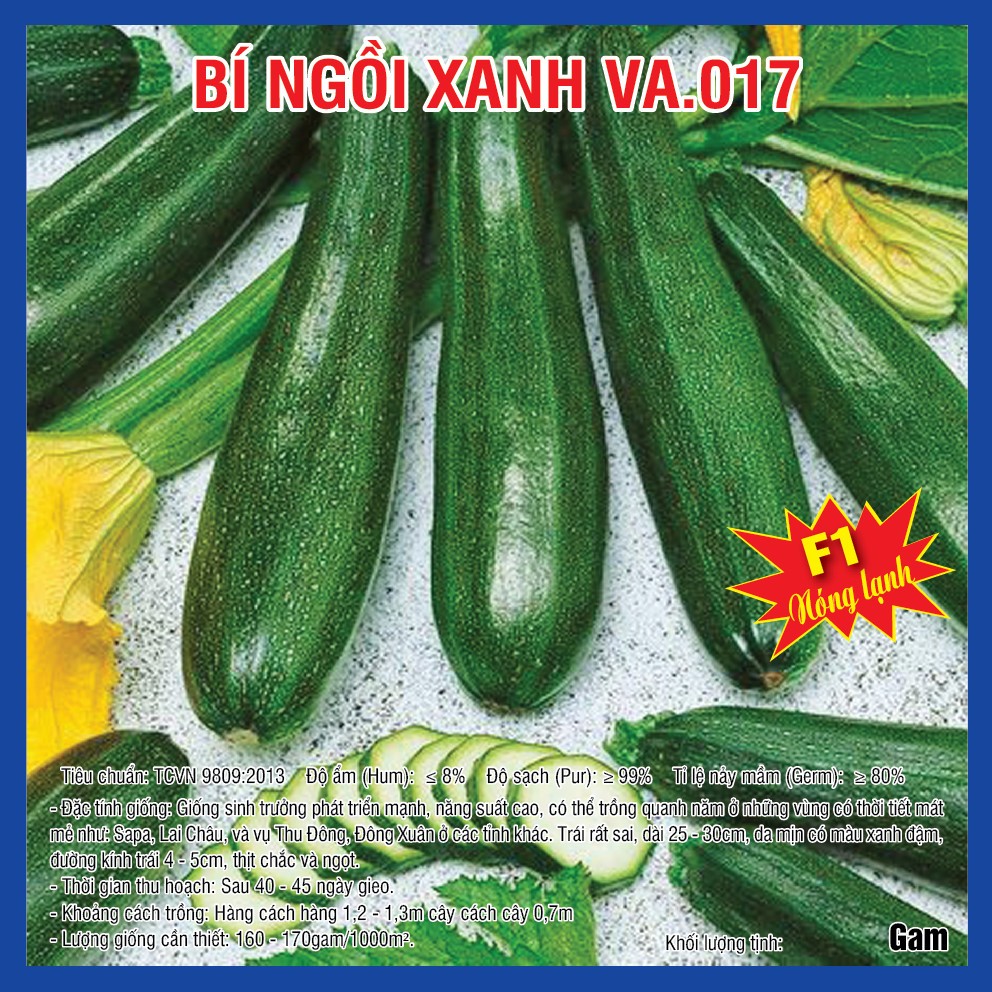 Hạt giống Bí Ngồi Xanh F1 (VA.17)