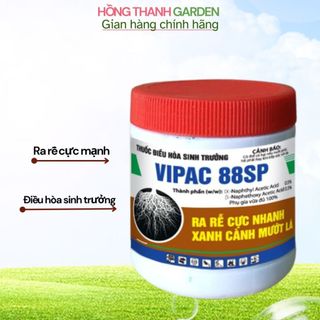 Phân bón ra rễ cực mạnh điều hòa sinh trưởng dùng cho mọi cây trồng - kích phát triển rễ - giâm chiết ghép cành 100g
