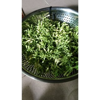 1kg hoa đu đủ đực tươi 100% sạch - dùng chưng cất siro hoặc ngâm mật ong, rất tốt.