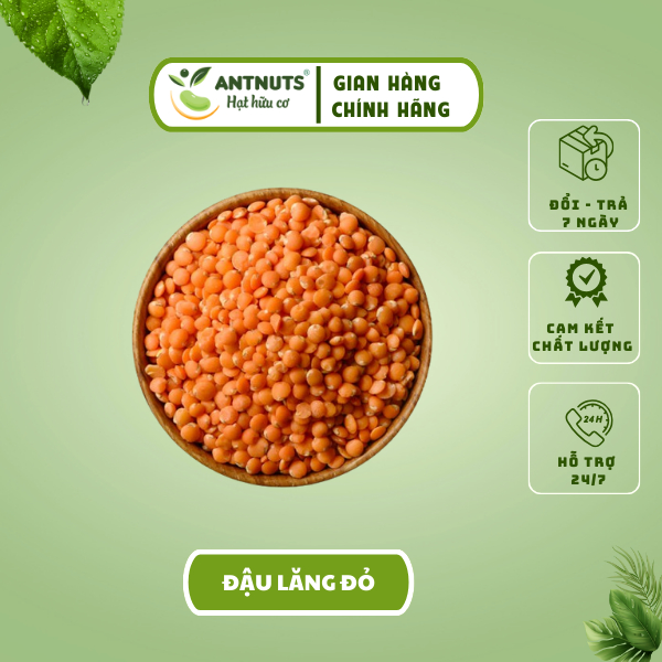 Đậu Lăng Đỏ nhập khẩu hữu cơ tách vỏ - Dành cho bé ăn dặm, làm sữa hạt, ăn chay