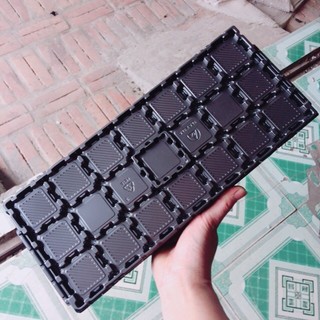Khay đựng cpu 21 con. khay - vĩ dùng đựng 21 cpu core - hàng tháo cpu