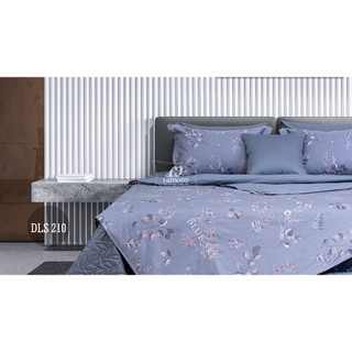 Bộ Hanvico Blue Sky Cotton T - DLS210