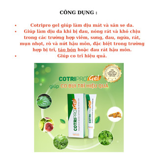 Gel bôi trĩ - COTRIPRO GEL