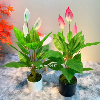 Cây Lan Ý,Cây giả 90cm, hàng loại 1, ảnh thật do shop chụp. Cây giả decor trang trí nhà cửa nội thất phòng khách