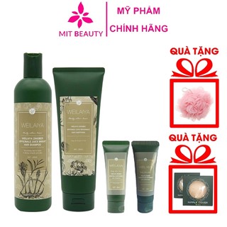 Bộ dầu gội Weilaiya tem nâu Mit Beauty tinh chất gừng kết hợp hà thủ ô giúp mọc tóc ngăn rụng tóc hiệu quả