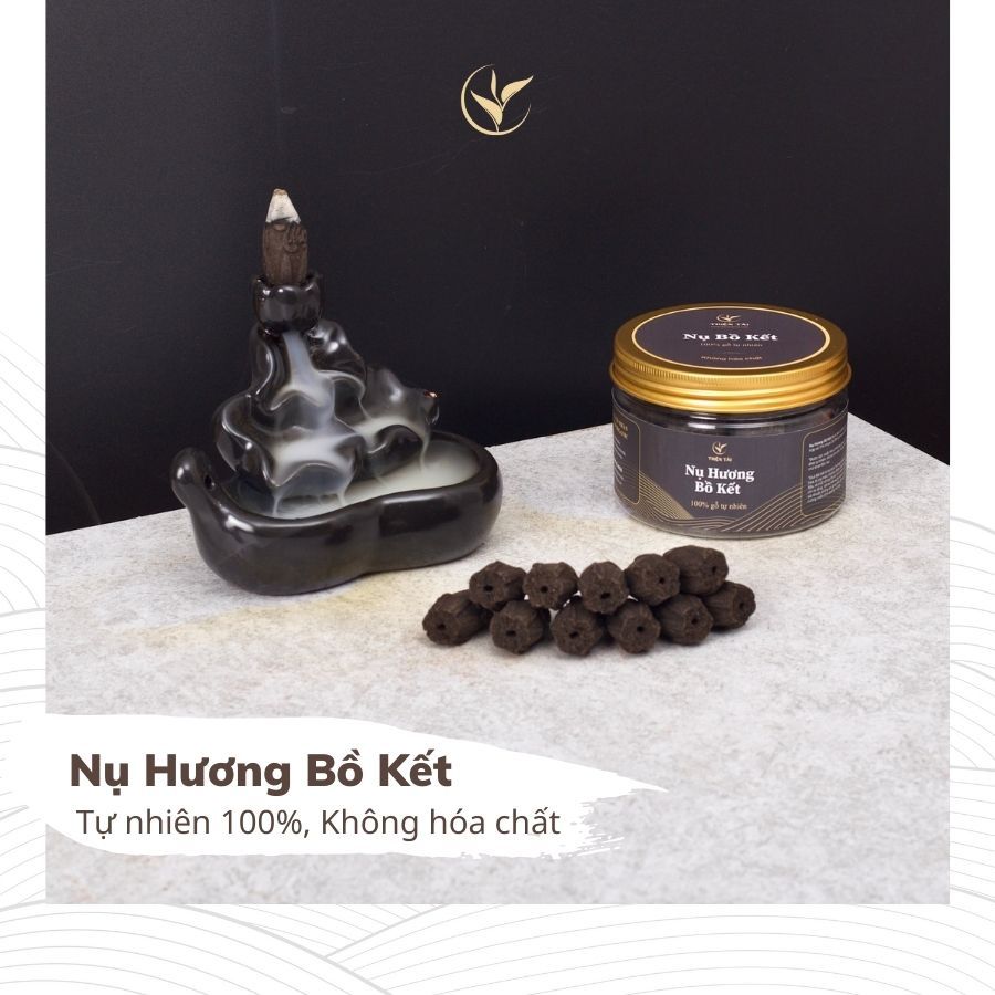 Nụ Hương Bồ Kết tự nhiên 100% không hóa chất chính hãng Thiện Tài Trà - hộp 38 nụ