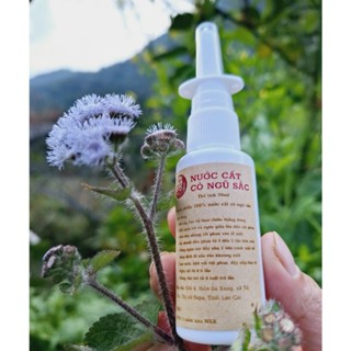 Xịt Mũi Cỏ Ngũ Sắc (cỏ hôi, cứt lợn) 30ml - Xoang, Mũi dị ứng, ngạt