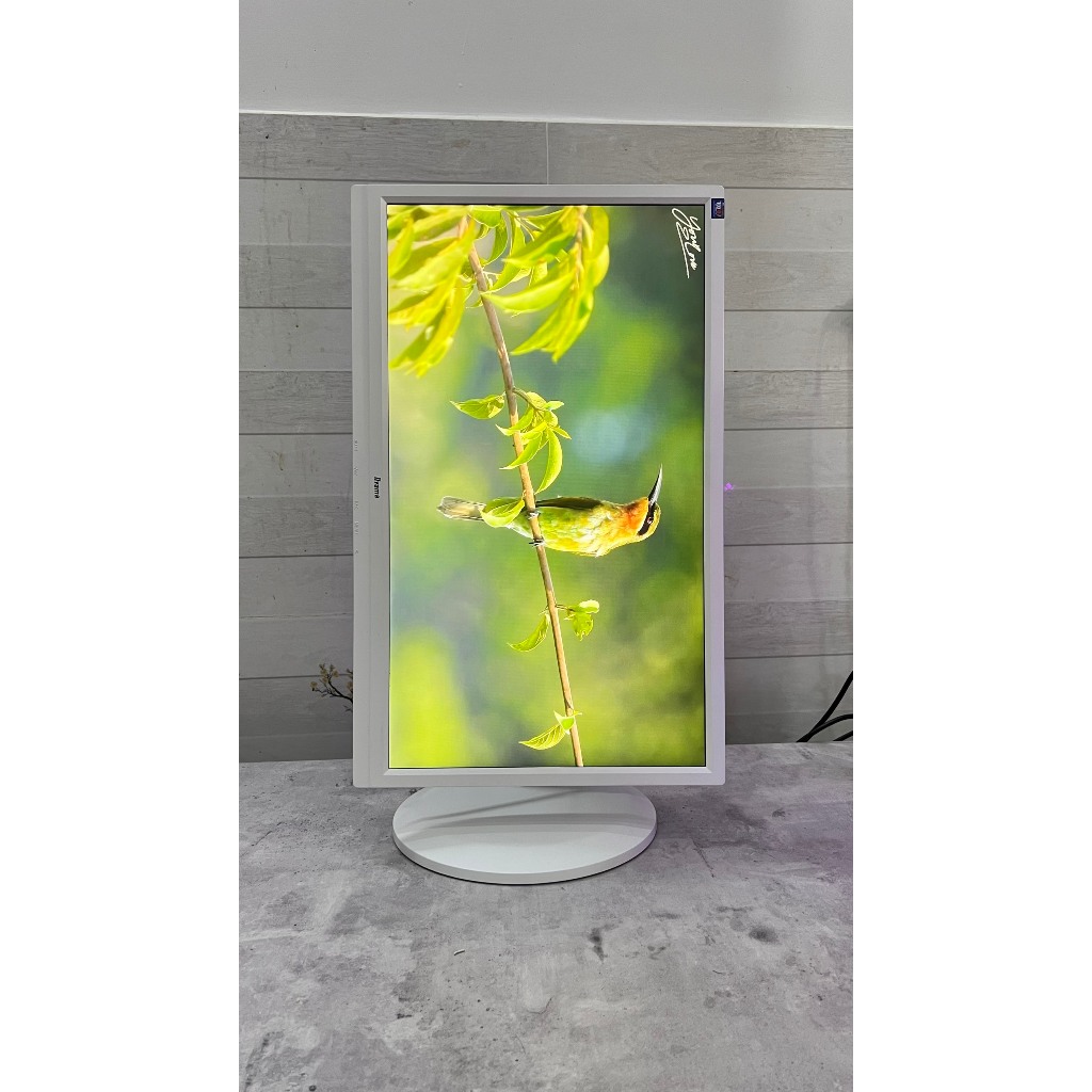 Màn Hình 22 Inch iiyama B2280hs – Màn Hình Led 22’’ Nhật Bền Và Đẹp - iiyama B2280hs