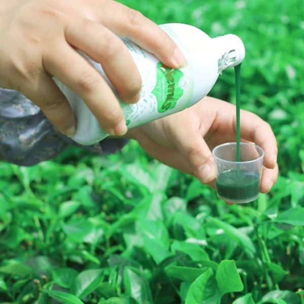 Nước tắm gội thảo dược Elemis chai 500ml / 200ml