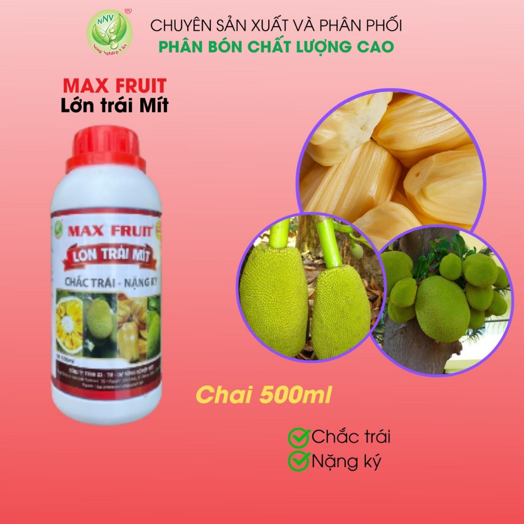 Phân Bón Lớn Trái Mít Chai 0,5 Lít- Hạn Chế Sơ Đen Tối Đa, Trái Lớn Nhanh, Xanh Da, Tròn Đều, Chắc Ruột, Ngọt Vị