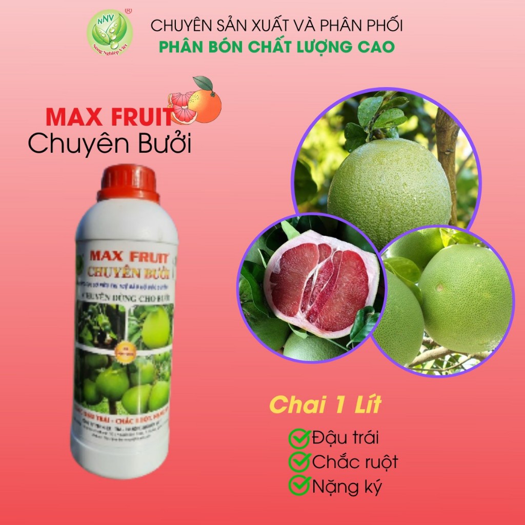 MAX FRUIT CHUYÊN BƯỞI