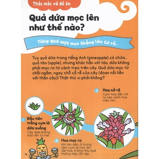 Sách - Gi Gỉ Gì Gi Cái Gì Cũng Biết Lớp 2