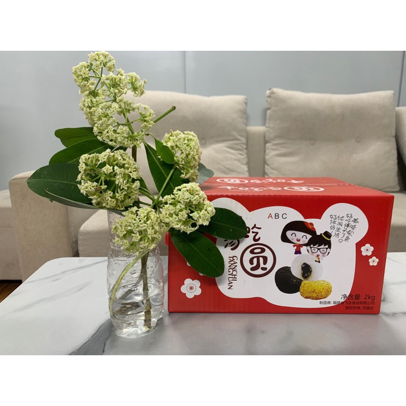 THÙNG 2KG BÁNH MOCHI ĐÀI LOAN 2 CÔ GÁi