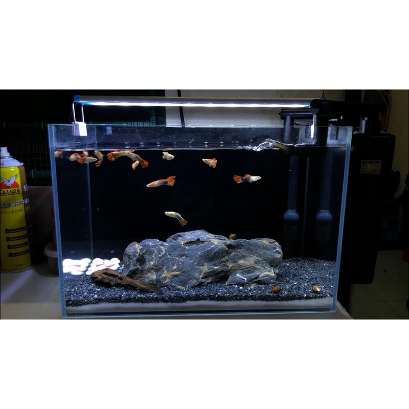 Cát Đen Platinum - Trải Nền Trang Trí Bể Cá, Bể Thủy Sinh, Tiểu Cảnh