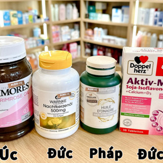 Hoa anh thảo Blackmore - ALISA