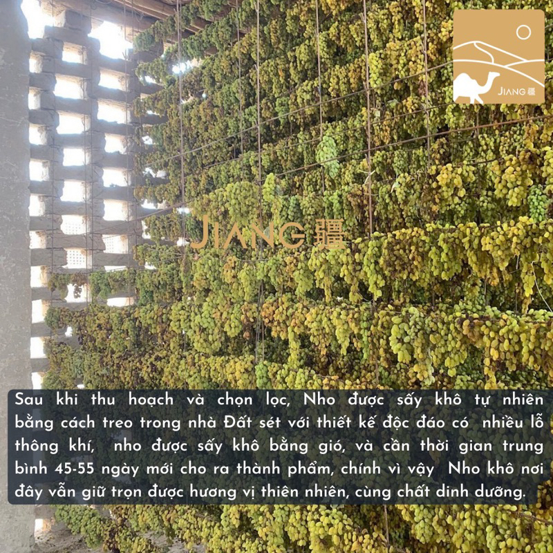 Nho Khô Tân Cương Thượng Hạng - Nho Hương Phi Hương Vị Hoa Hồng  Jiang