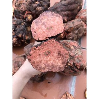 Hà Thủ Ô Đỏ 1kg đã phơi khô thái miếng