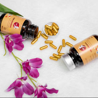 Viên nhân sâm CND GINSENG Gold, nhân sâm viên, tinh chất nhân sâm, sâm dạng viên