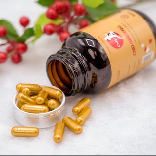 Viên nhân sâm CND GINSENG Gold, nhân sâm viên, tinh chất nhân sâm, sâm dạng viên