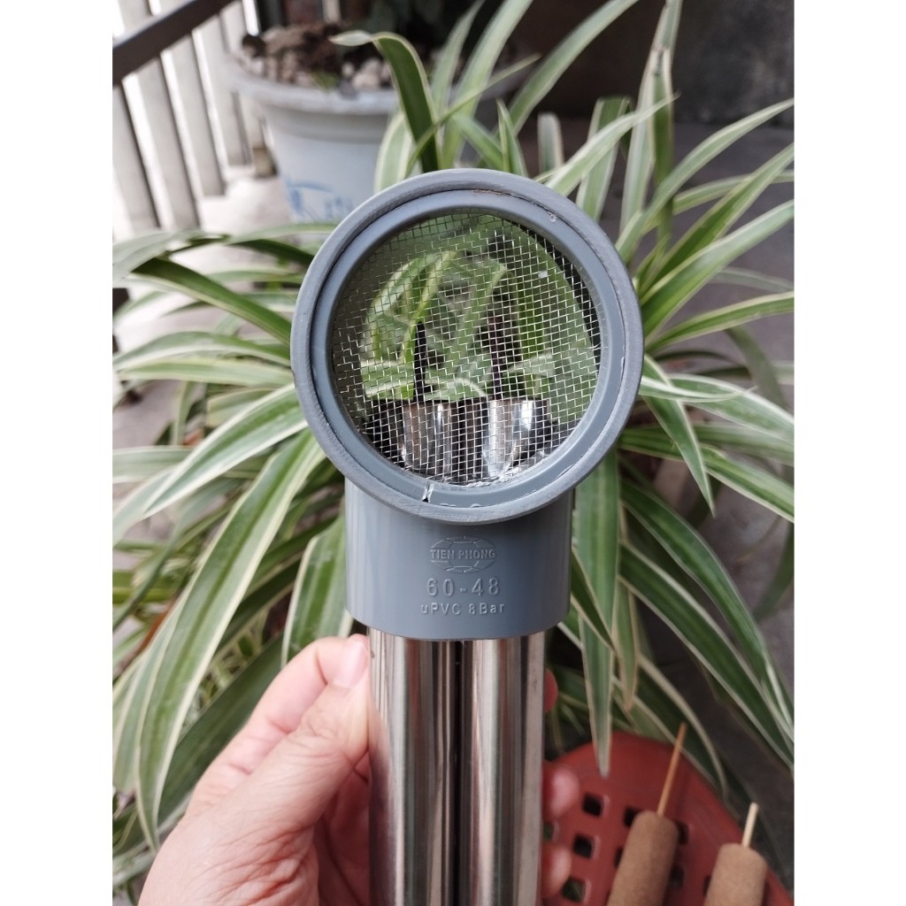 Ống Hơ Ngải Cứu Đôi Inox VIP - Dụng Cụ Diện Chẩn