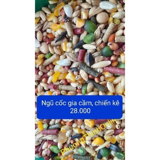 1Kg ngũ cốc dinh dưỡng cho gà đá