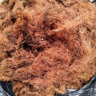 100g râu bắp (râu ngô) khô nấu nước sâm, nước mát