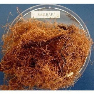 100g râu bắp (râu ngô) khô nấu nước sâm, nước mát
