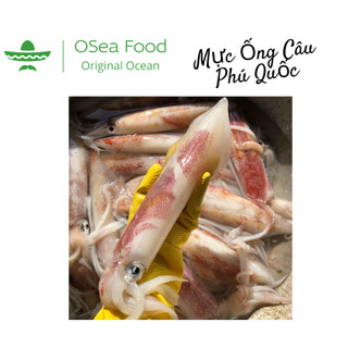 Mực Ống Lớn Phú Quốc Size 4-6 Con/kg