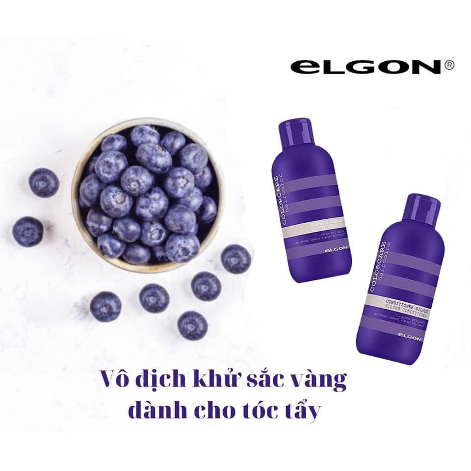 Dầu gội xả tím khử vàng Elgon Colorcare Silver 300ML, dành cho tóc tẩy