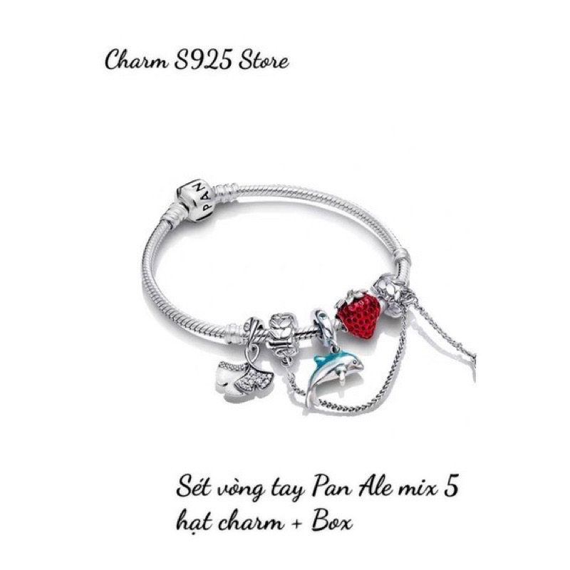 COMBO BỘ VÒNG TAY MIX 4 HẠT CHARM BẠC S925 THUẦN KHIẾT HÀNG CAO CẤP
