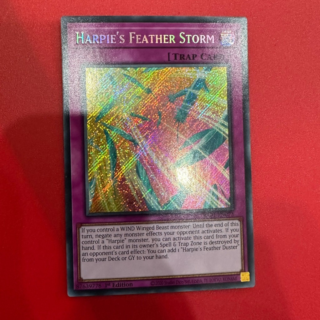 Harpie's Feather Storm