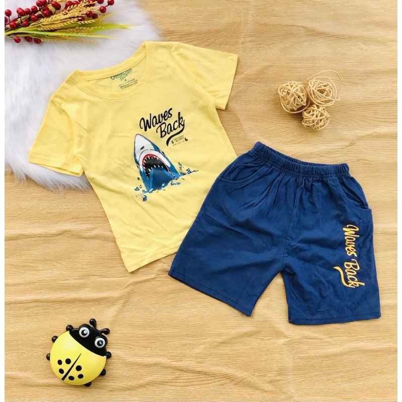 💥 Bộ côtton xuất H&M  bé trai từ 8-25kg