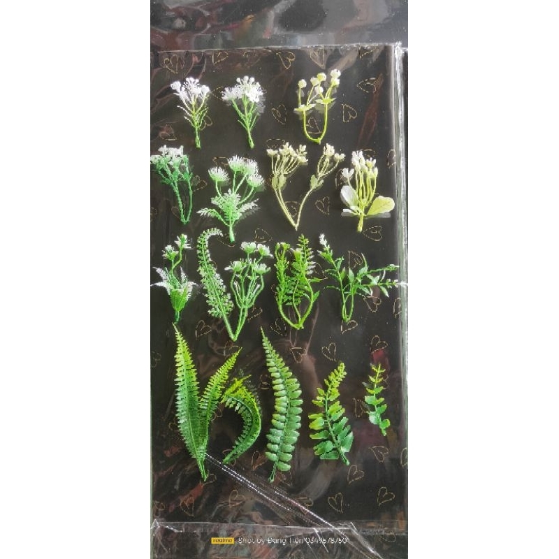 Cỏ điểm cân loại 100g (lạng) - Đã nhặt sạch