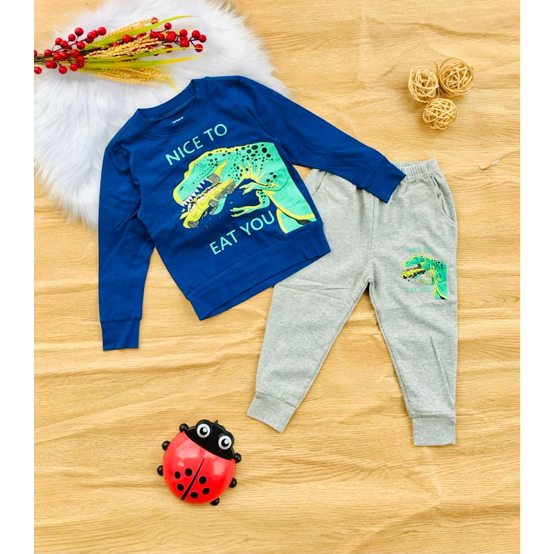 💥 Bộ côtton xuất H&M  bé trai từ 8-25kg