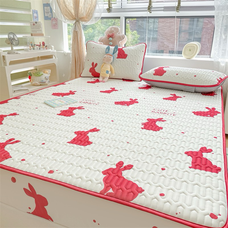 Chiếu Điều Hòa Cao su non bo chun,bọc đệm 25cm