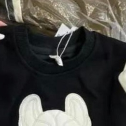 Bộ nỉ ép 2 da dày dặn cho bé in hình chó mặt sệ siêu ngầu cho bé 7-25kg