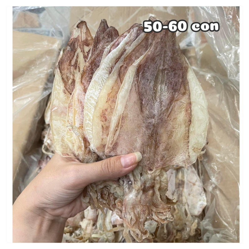 500gr Khô mực size 50-60 con 1kg