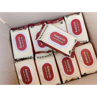  10 gói khăn ướt cao cấp Amesta 120 tờ không mùi an toàn tiện dụng   miễn ship toàn quốc   