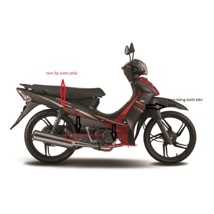 Tem xe Elegant 50cc 2023