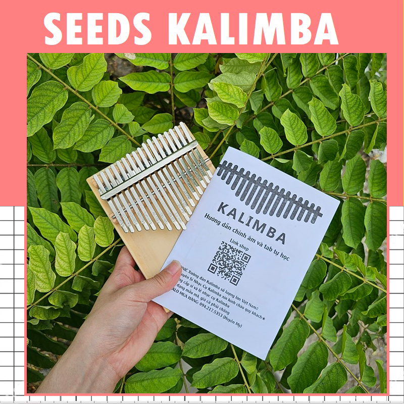 25 bài tab kalimba dễ đánh cho bạn mới tập chơi nhạc Nước Ngoài sale giá rẻ