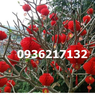 Đèn lồng trang trí năm mới của Trung Quốc Giấy nhựa tròn 20cm