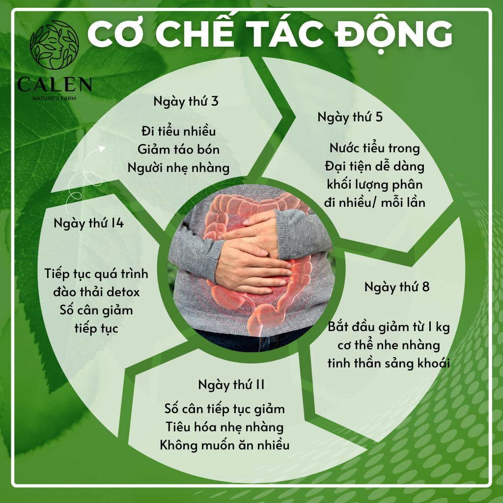 Trà detox 14 ngày Calen Nature's Farm vòng eo con kiến đón Tết 2024 bịch 30 túi lọc