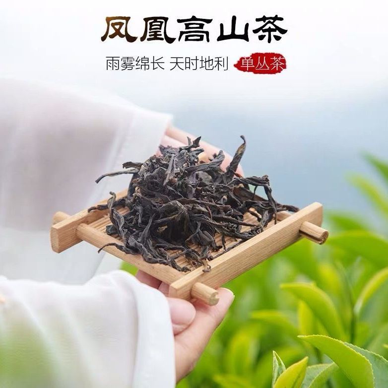 Trà Ô Long ĐƠN TÙNG PHƯỢNG HOÀNG hỗ trợ ngừa lão hoá - Hộp 100g có 20 gói nhỏ